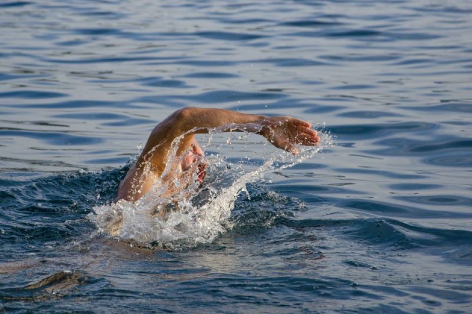 The great joy of long-distance swimming