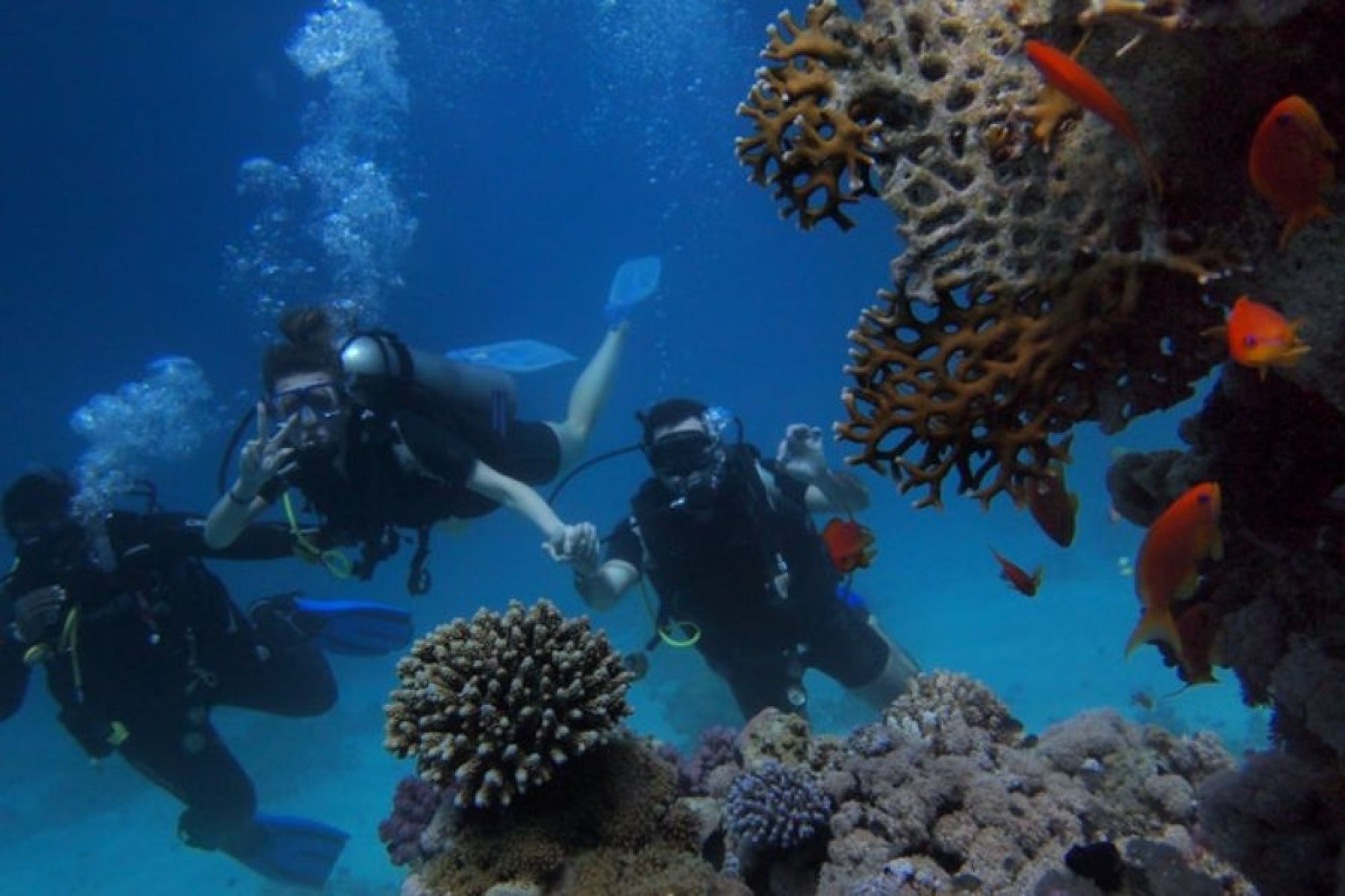 The Top Diving Spots in Australia